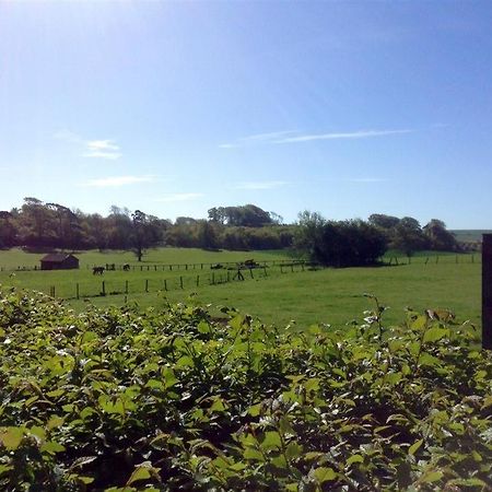Warmwell Lodge Dorchester Luaran gambar